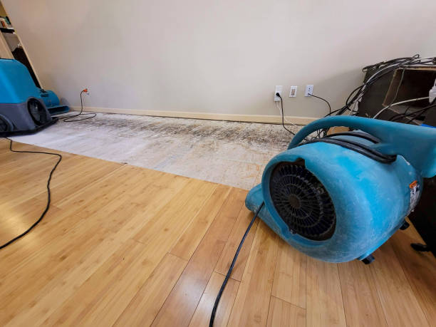 Professional Burst Pipe Water Damage technician working in Horseshoe Bend, ID